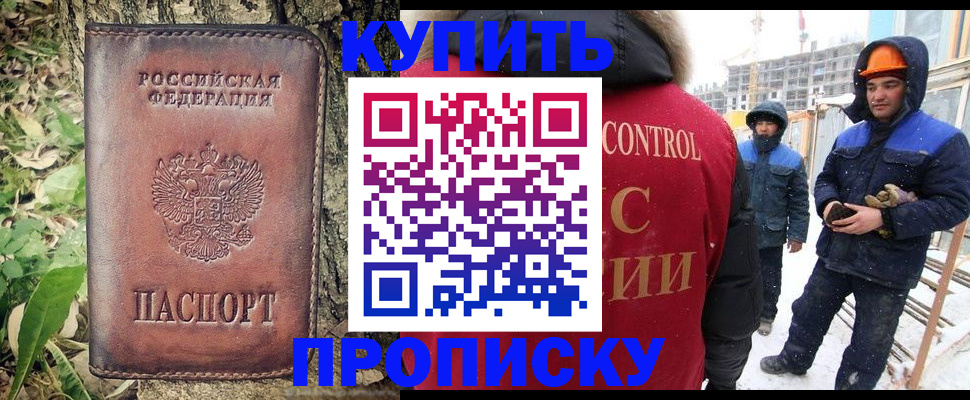 где прописаться в Почепе